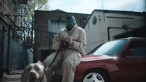 Rey Mysterio Dog GIF by M Huncho