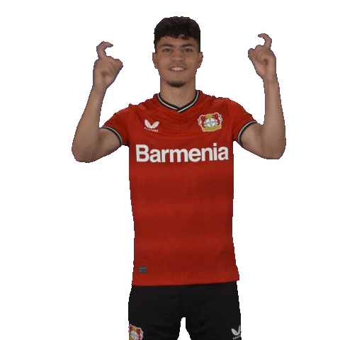 Happy Football Sticker by Bayer 04 Leverkusen