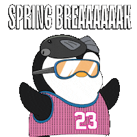 Spring Break Party Sticker by Pudgy Penguins