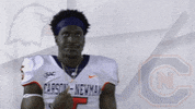 Carson Newman Football GIF by Carson-Newman Athletics