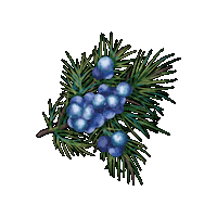 vsinnegin gin martini wochenende freitag Sticker