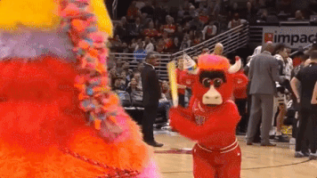 benny the bull nba GIF by Chicago Bulls