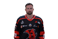 Hockey What Sticker by Saale Bulls