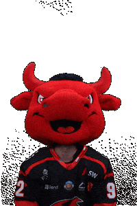 Happy Hockey Sticker by Saale Bulls