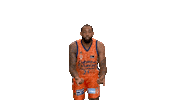 Swipe Up Liga Endesa Sticker by ACB
