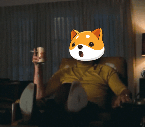 Money Crypto GIF by Baby Doge Coin