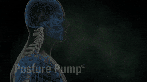 Posturepump.com