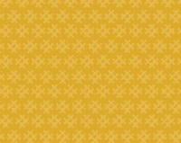 Oberösterreich Weltcup GIF by Hinterstoder-Wurzerallm