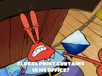 season 5 new digs GIF by SpongeBob SquarePants