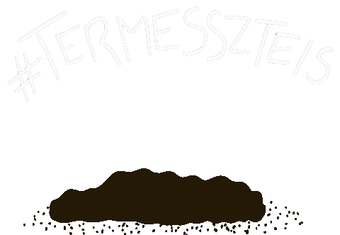 Fuszer Sticker by afuszereslany