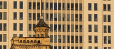 kentucky louisville GIF