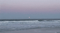 Pink Moon Rises Over Eastern Florida