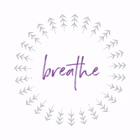 ichoosebeauty  GIF