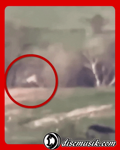 rokco89 giphyupload terror miedo GIF
