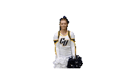 Sport Heart Sticker by Clarke University