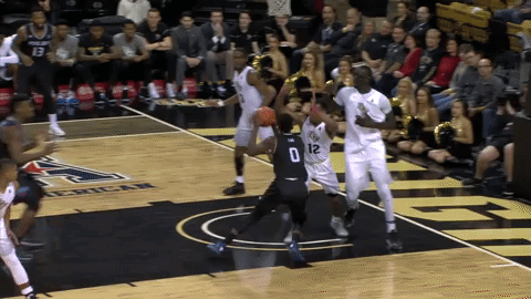 GIF by UCF Knights