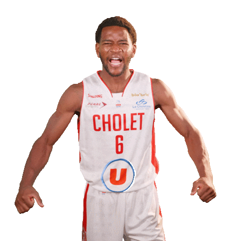Sport Basketball Sticker by Cholet Basket