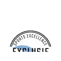 sportsexcellence baseball hockey sec exclusive Sticker