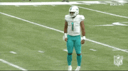 Football Sport GIF by NFL