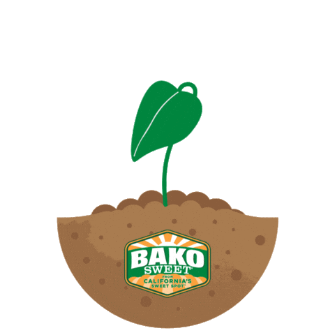 BakoSweet potato potatoes sweet potato sweetpotato Sticker