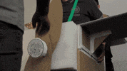 Celtic Fc Sport GIF by Celtic Football Club