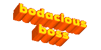 Leader Leadership Sticker by NeighborlyNotary®