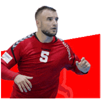 Rukomet Crohandball Sticker by RKPorec