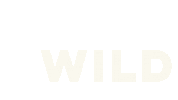 Go Wild Sticker by Astrid Wild