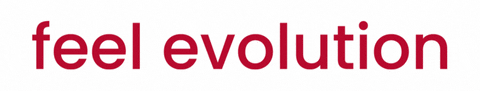 FEVTURKEY giphyupload fev fevturkey fevlogo GIF