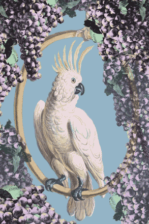 Bird Swinging GIF by GIF IT UP