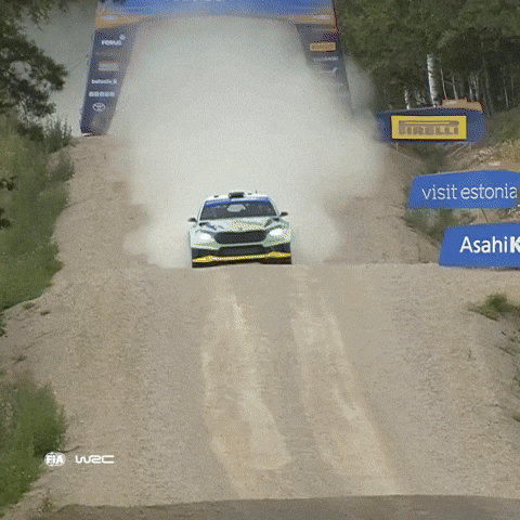 Driving Fast Car GIF by FIA World Rally Championship