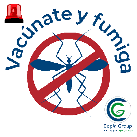 Mosquito Dengue Sticker by copla group