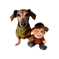 Nightmare On Elm Street Daschund Sticker by Geekster Pets