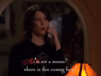 season 5 netflix GIF by Gilmore Girls 