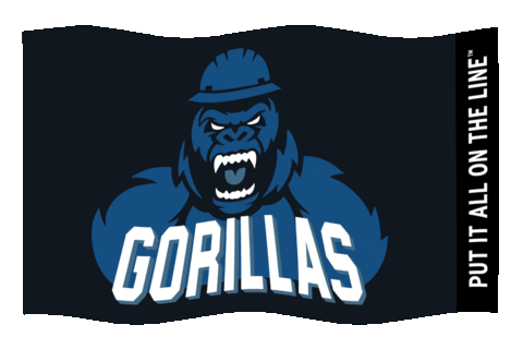 Flag Linemen Sticker by Southeast Lineman Training Center