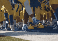 College Sports Dancing GIF by Delaware Blue Hens
