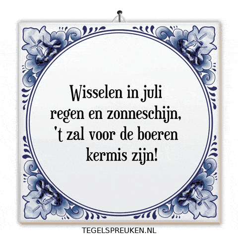 Humor Nl GIF by Tegelspreuken.nl