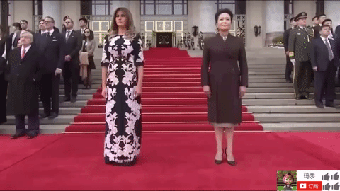 zheng zhi GIF