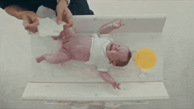 wriggler giphyupload GIF