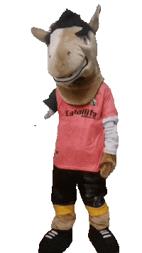 Caballito Sticker by CaballitoZeballos
