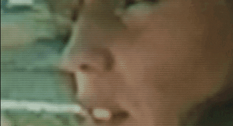 sun rose GIF