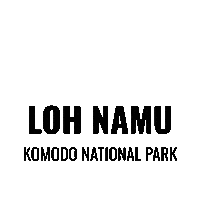 Scubadiving Sticker by Dragon Dive Komodo