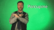 sign language porcupine GIF by Sign with Robert