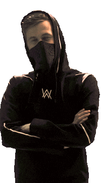 alanwalker spotifyonstage2018 Sticker by Spotify Japan