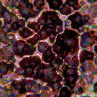 symmetryinchaos 3d wave organic blender GIF