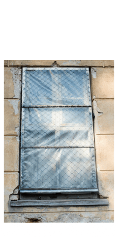 stnort giphyupload GIF