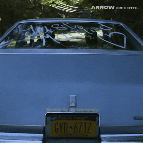 Indie Film GIF by Arrow Video