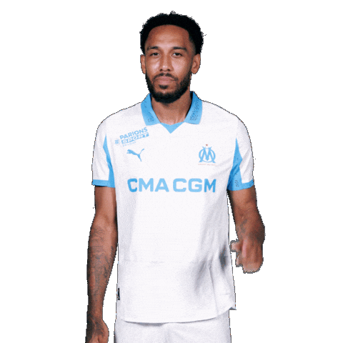 Football Soccer Sticker by Olympique de Marseille