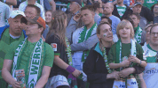 bundesliga werder GIF