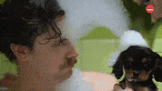 Puppy Puppies GIF by BuzzFeed